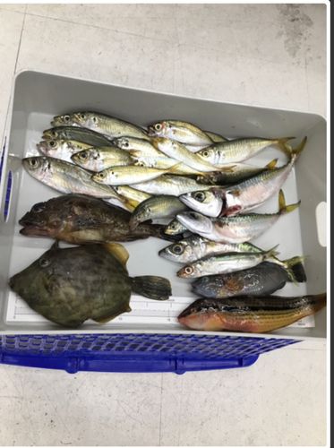 釣果