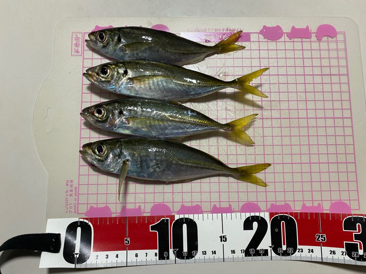 アジ