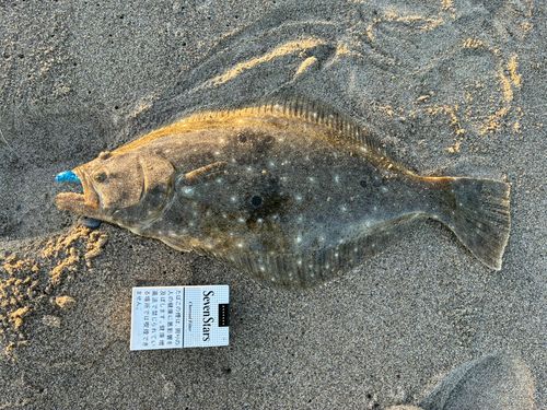 三陸海岸（岩手）