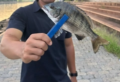 釣果