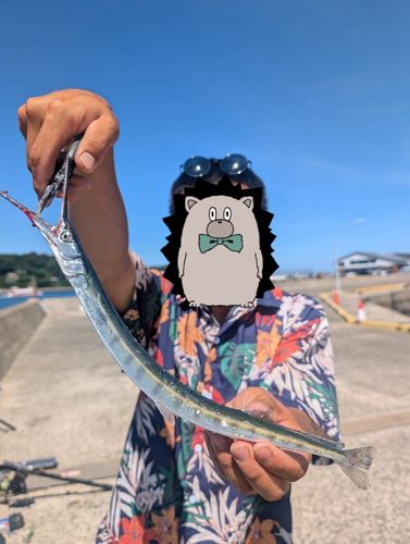 呼子港