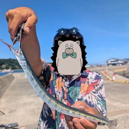 ダツ