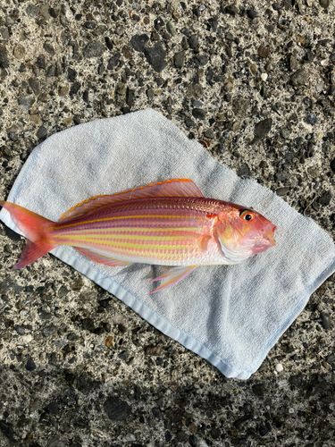 木負堤防
