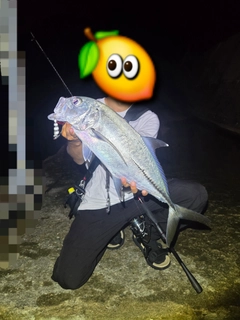 ギンガメアジの釣果