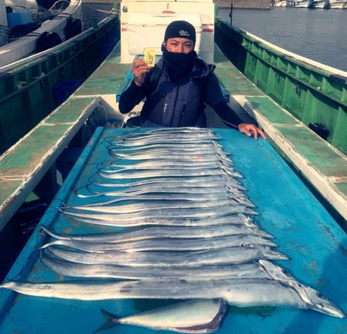 タチウオの釣果