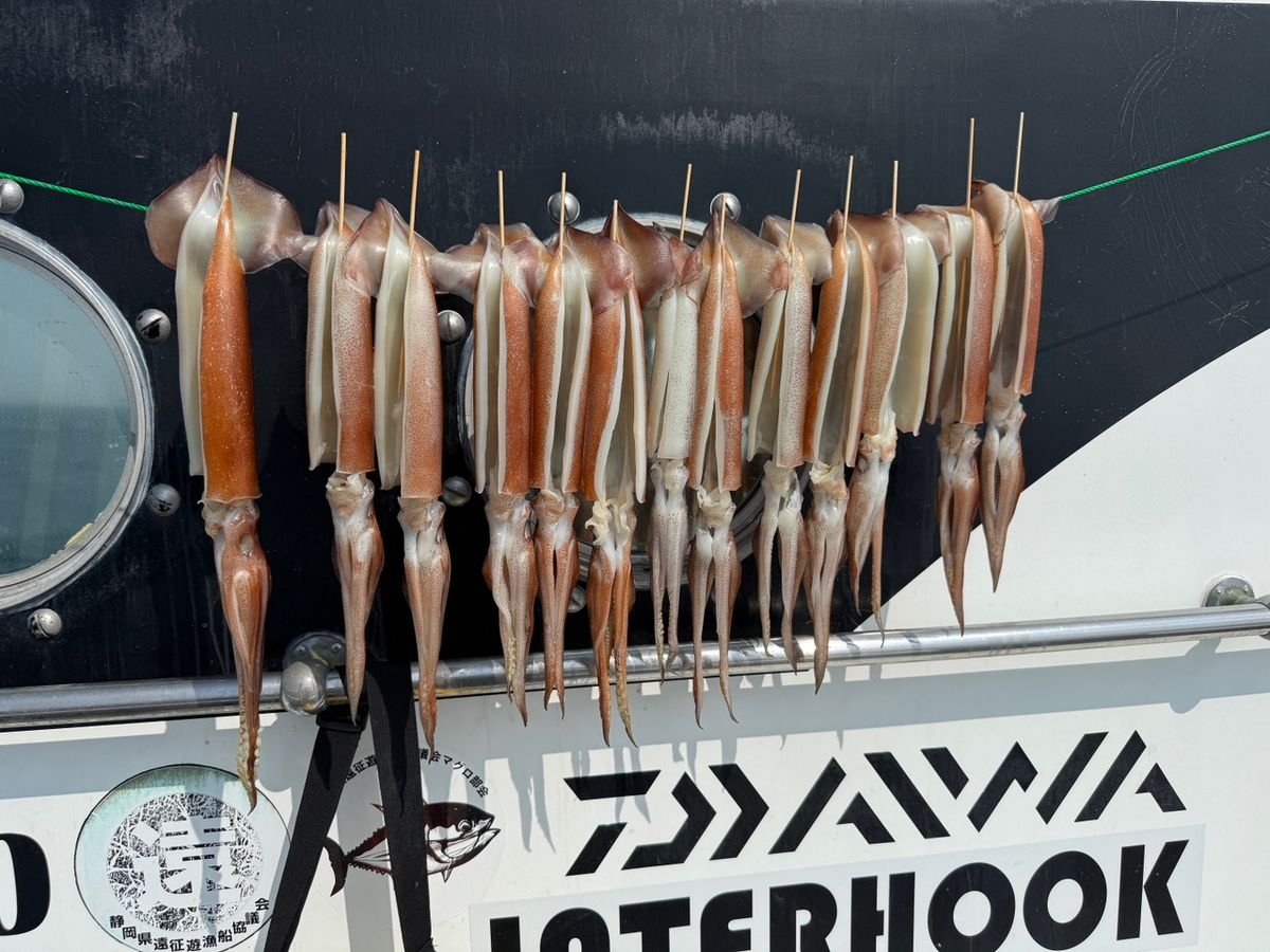 すぎっち0130さんの釣果 1枚目の画像