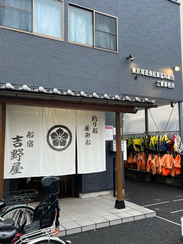 サワラの釣果