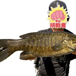 スモールマウスバス