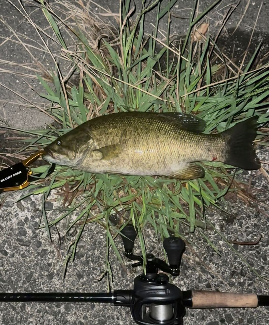 スモールマウスバス