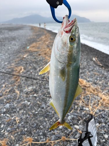 石津浜
