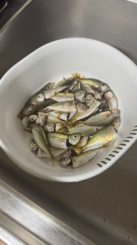 アジュール舞子