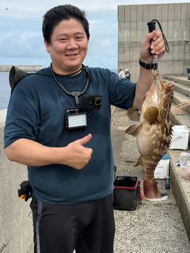 クエの釣果