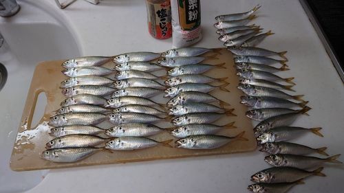 本牧海づり施設