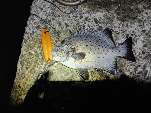 浮き相模
