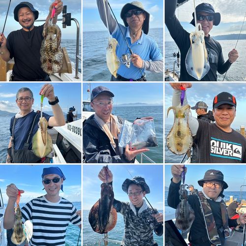 アオリイカの釣果