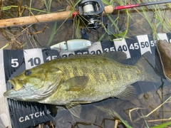 スモールマウスバスの釣果