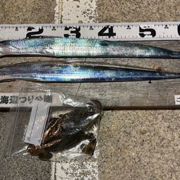 タチウオ