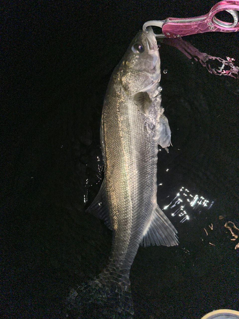 ルナミス　96M #2のみ 20 ルナミス S96M – フィッシングマックス WEBSHOP