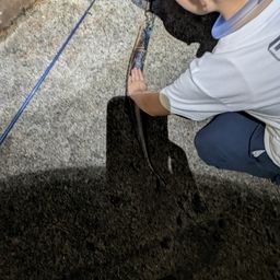 タチウオ
