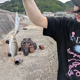 アジ