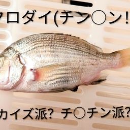 チンチン