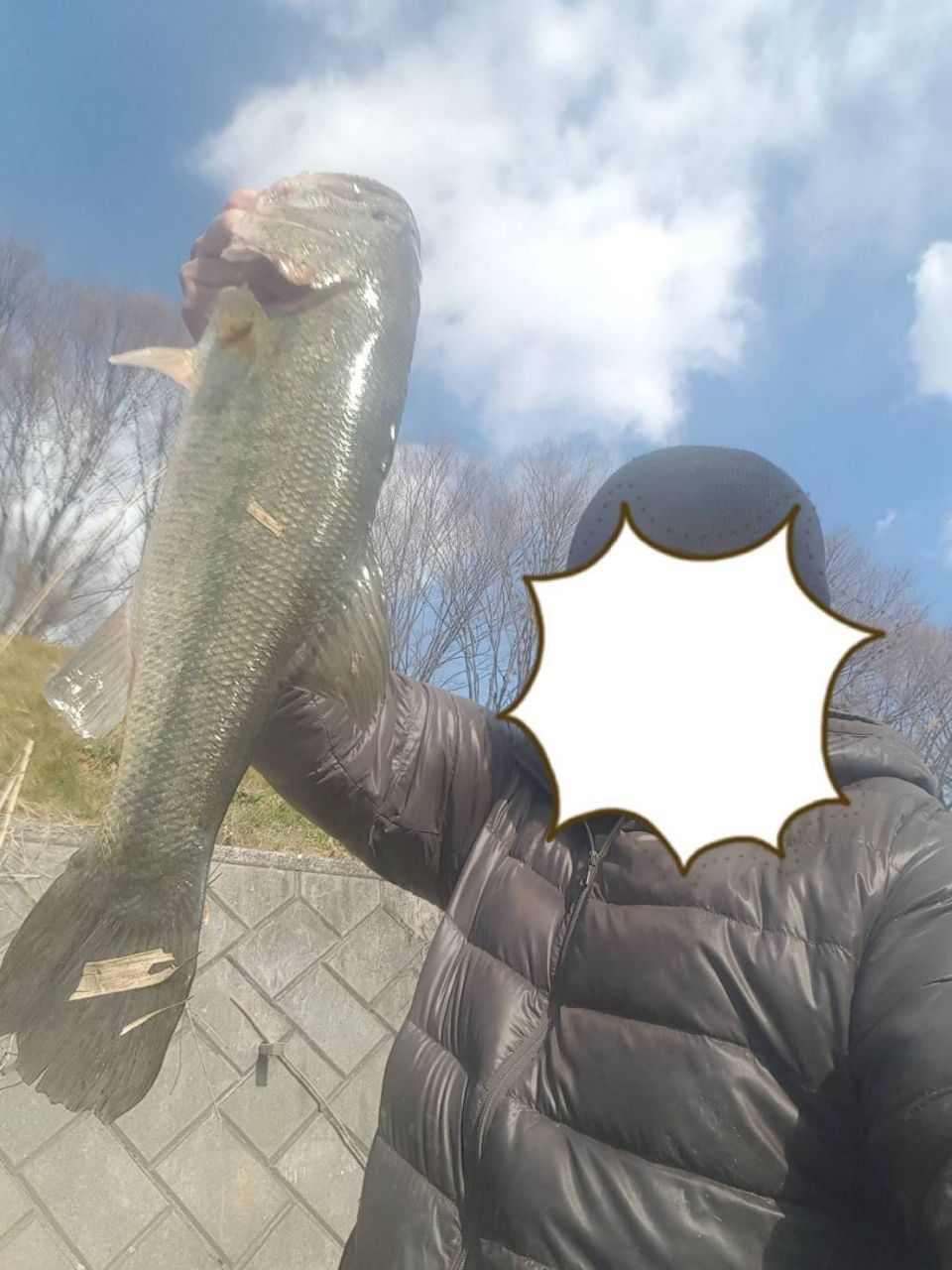 ブラックバス