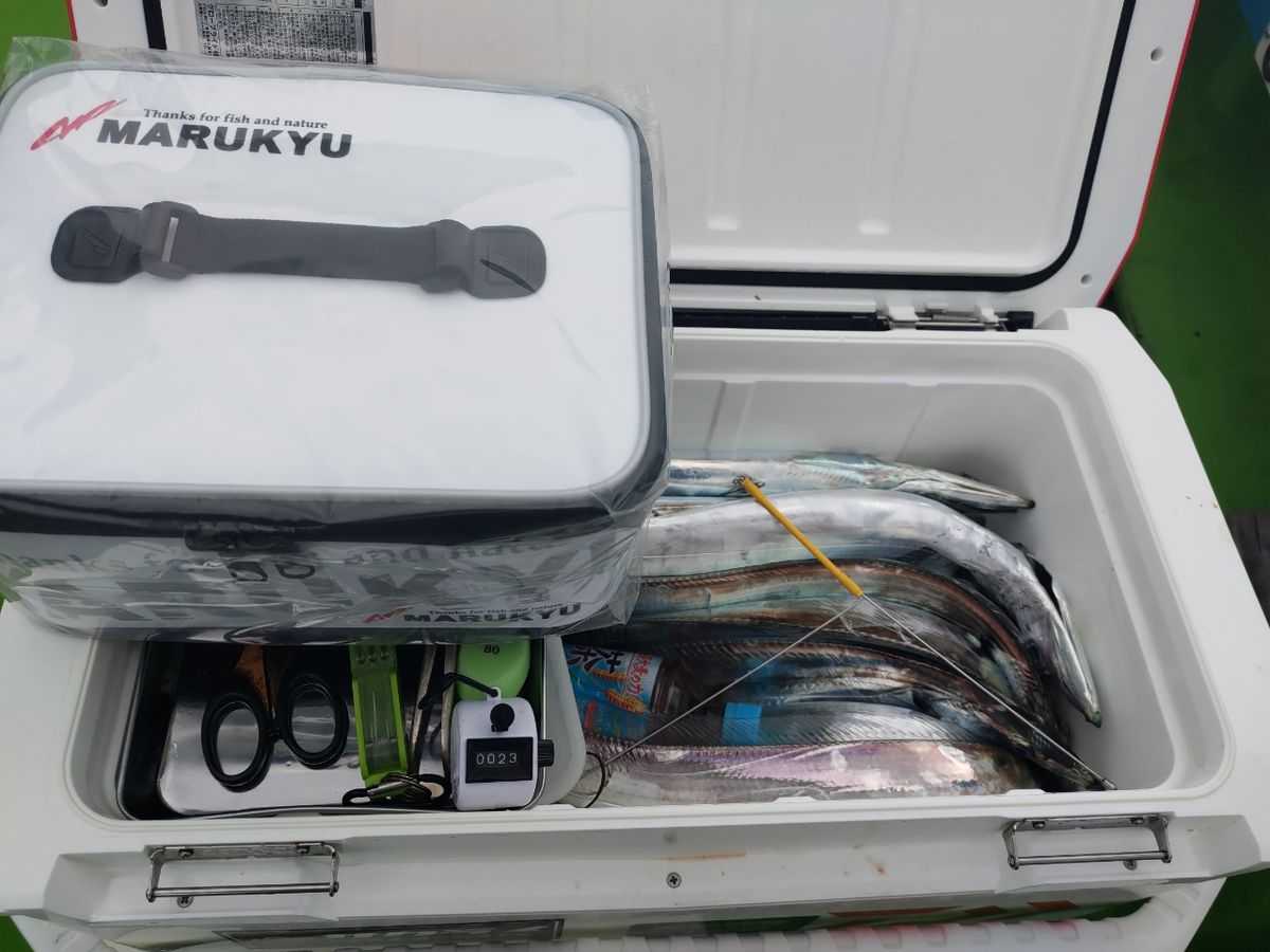 デムデムさんの釣果 2枚目の画像