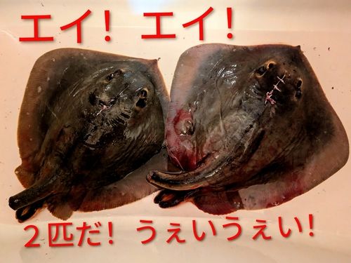 ディズニーリゾート付近