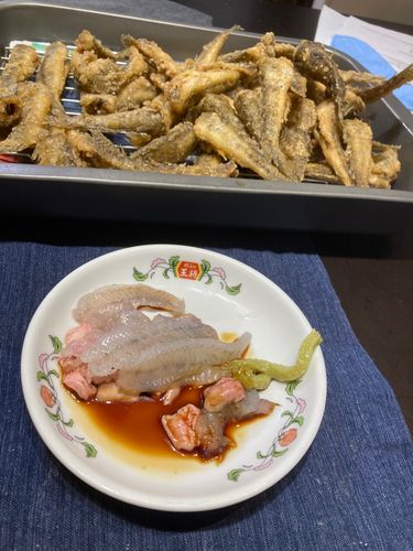 天白川河口