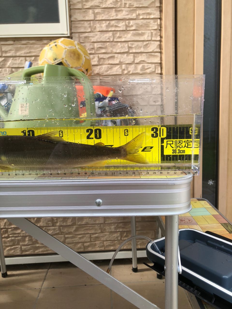 Triple Force Special 急瀬 G 90 NV 楽天市場】シマノ スペシャルトリプルフォース 急瀬G 90NV【大型