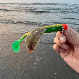 ウシノシタ