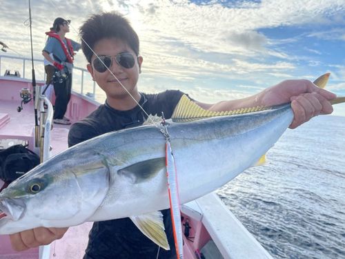 ワラサの釣果