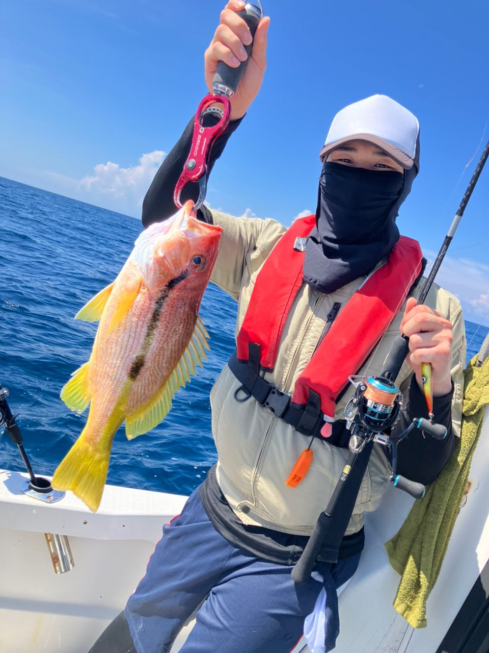 ヨコスジフエダイ