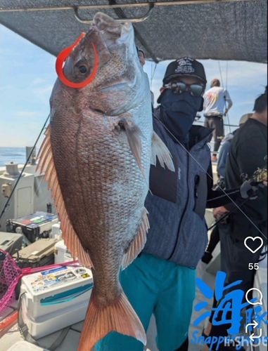 タイの釣果