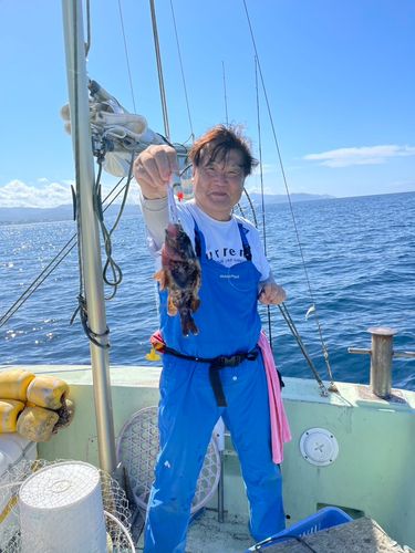 ハチガラの釣果
