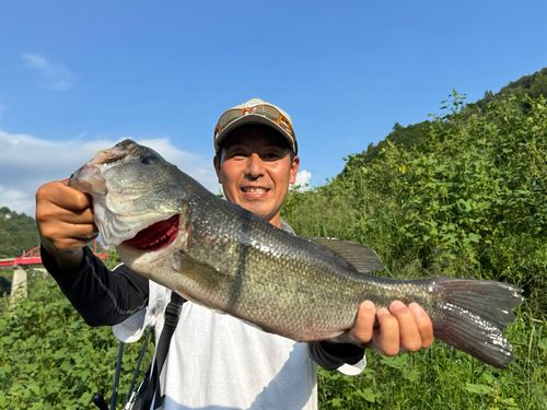 ラージマウスバスの釣果