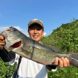 ラージマウスバス