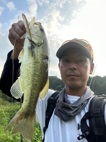 月ヶ瀬湖
