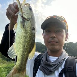 ラージマウスバス