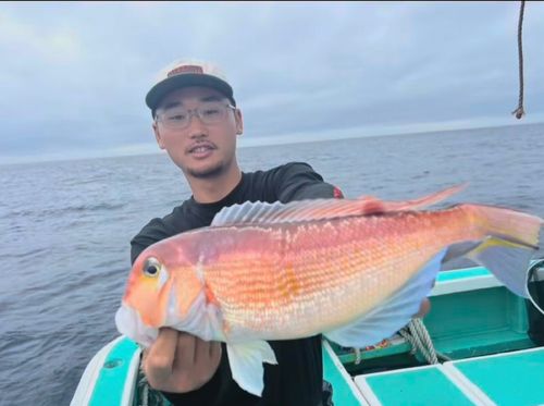 アマダイの釣果