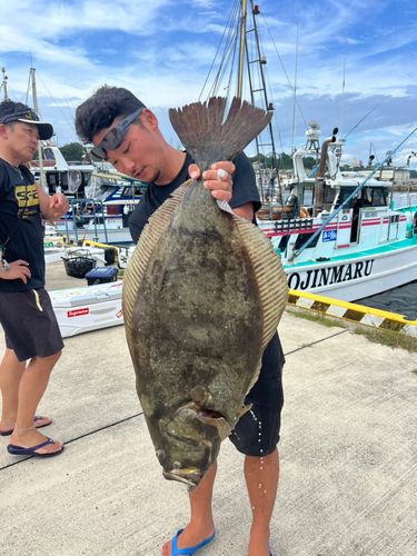 ヒラメの釣果