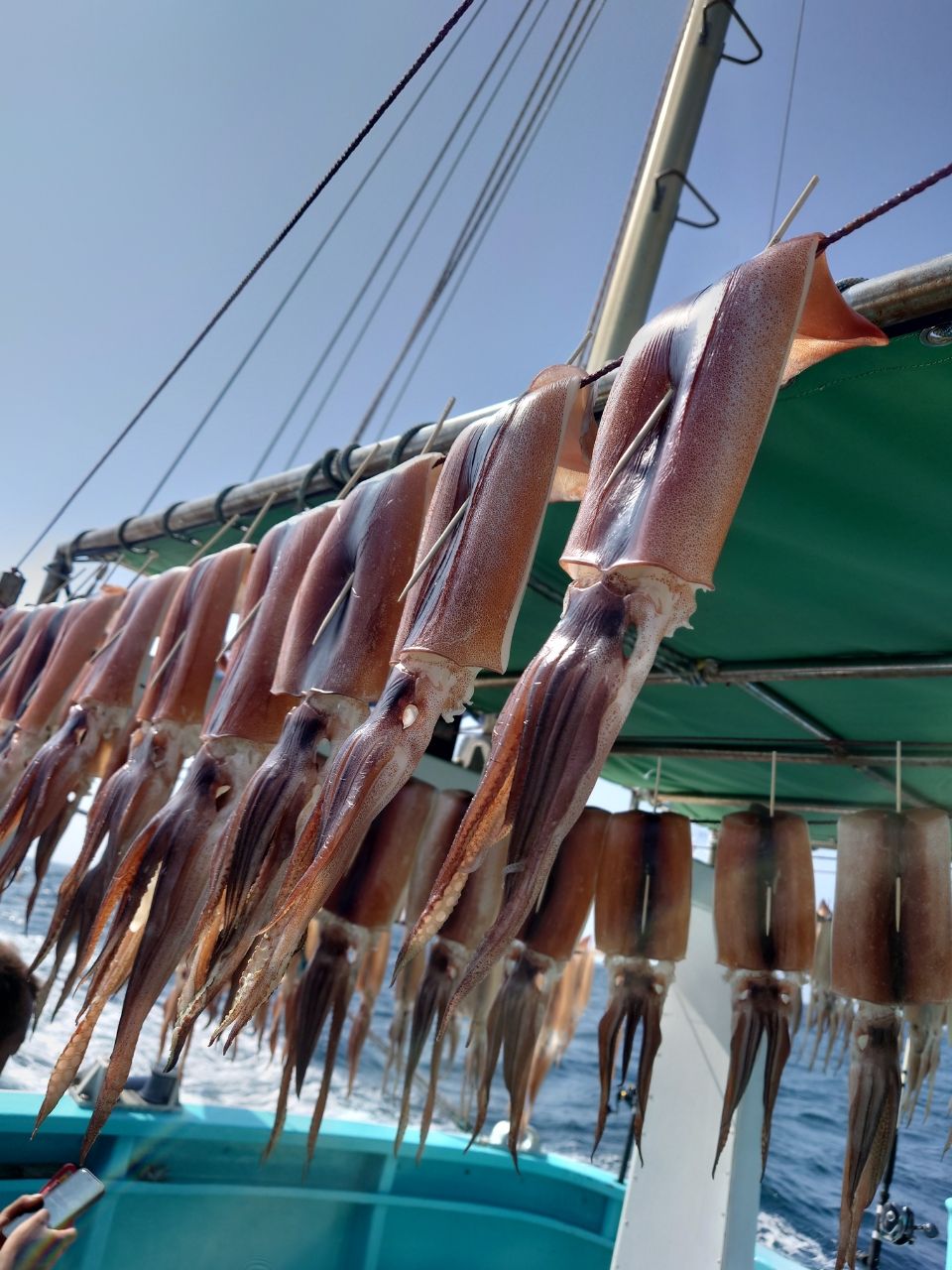 HIDECKEYさんの釣果 2枚目の画像