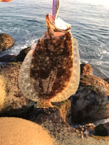 三陸海岸（青森）