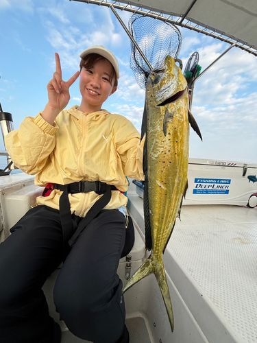 別府湾