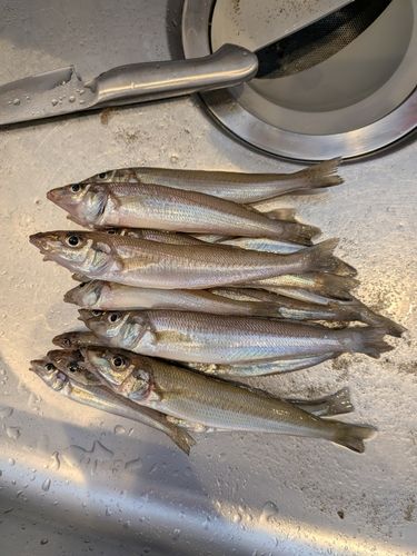 河芸漁港