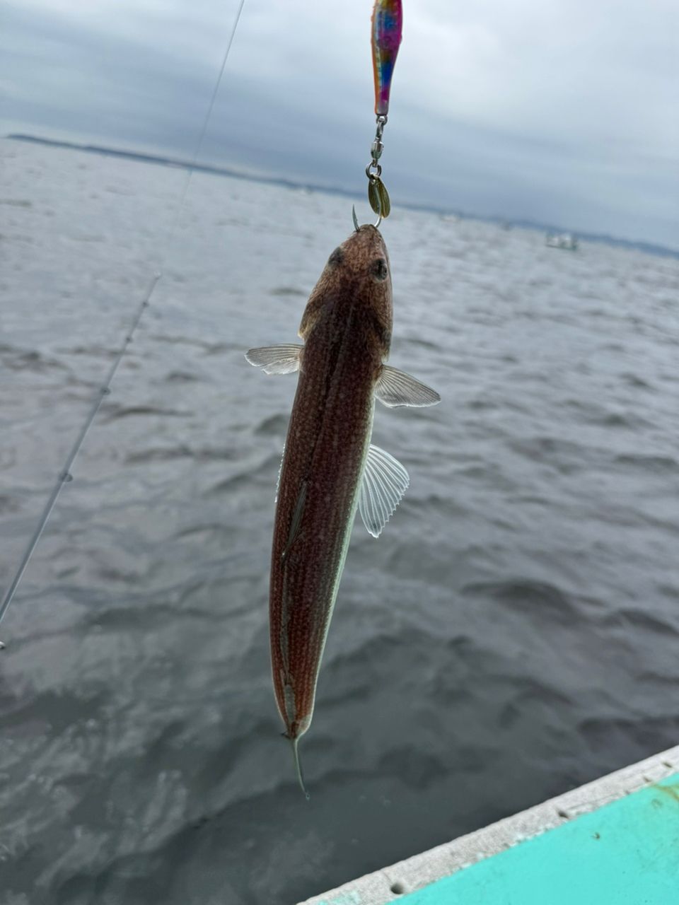 若造りジャパンさんの釣果 3枚目の画像