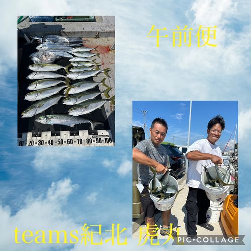 メジロの釣果