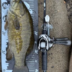 スモールマウスバス