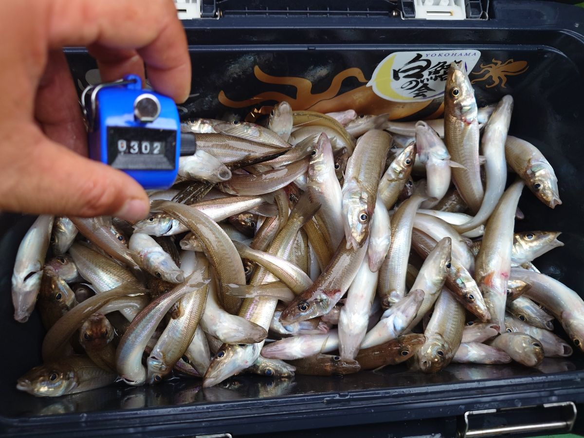 変態様さんの釣果 3枚目の画像