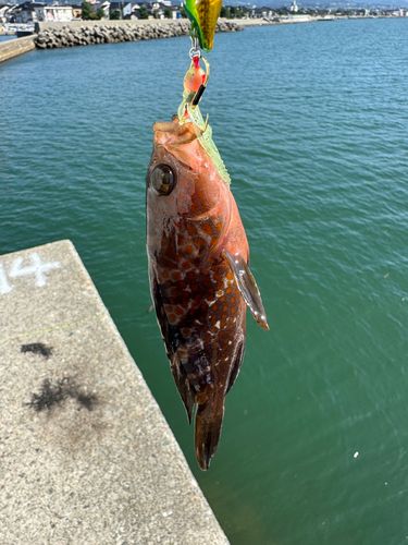 魚津漁港
